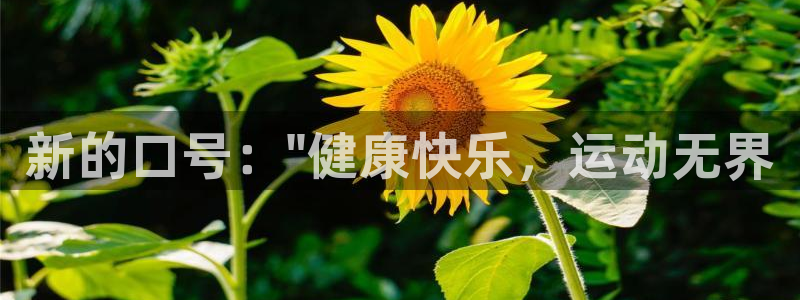zyty中欧体育平台：新的口号：\