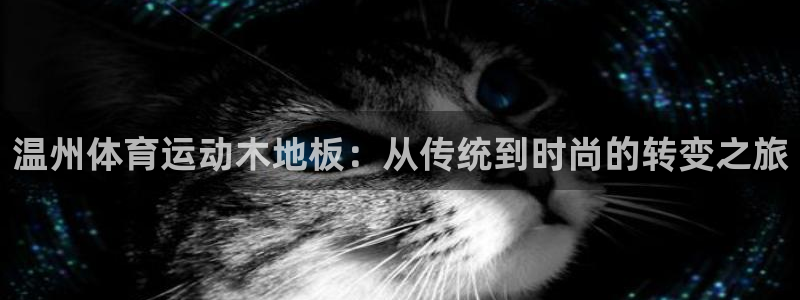 中欧体育ac米兰：温州体育运动木地板：从传统到时尚的转变之旅