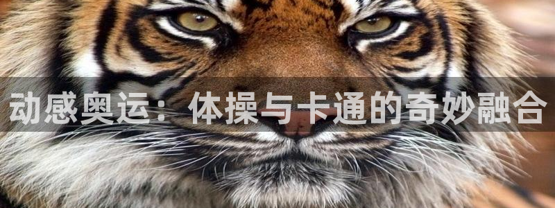 中欧体育网页版：动感奥运：体操与卡通的奇妙融合