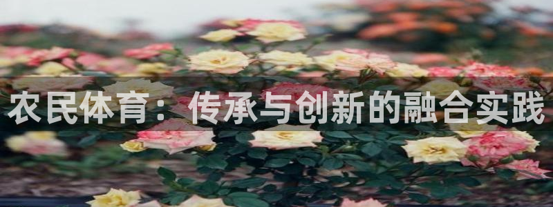 zoty中欧体育平台：农民体育：传承与创新的融合实践