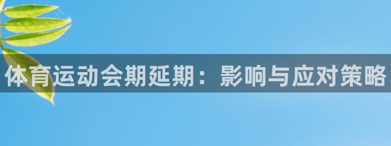 zyty中欧体育平台：体育运动会期延期：影响与应对策略