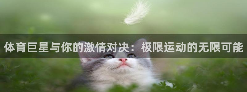 中欧体育集团：体育巨星与你的激情对决：极限运动的无限可能