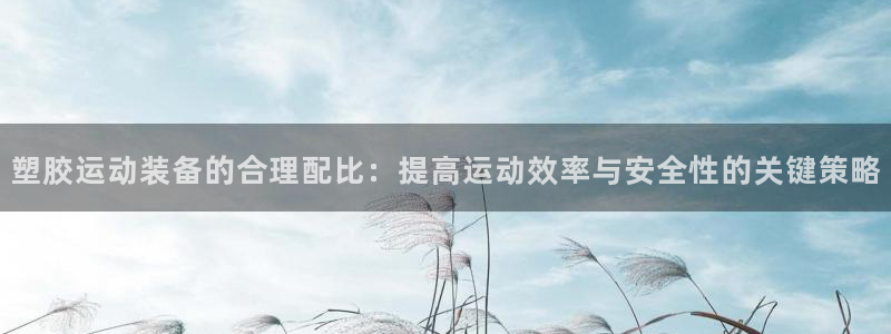 中欧体育登录：塑胶运动装备的合理配比：提高运动效率与安全性的关键策略