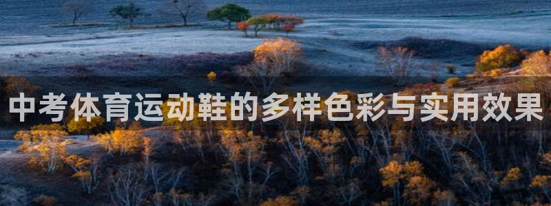 中欧体育网址：中考体育运动鞋的多样色彩与实用效果