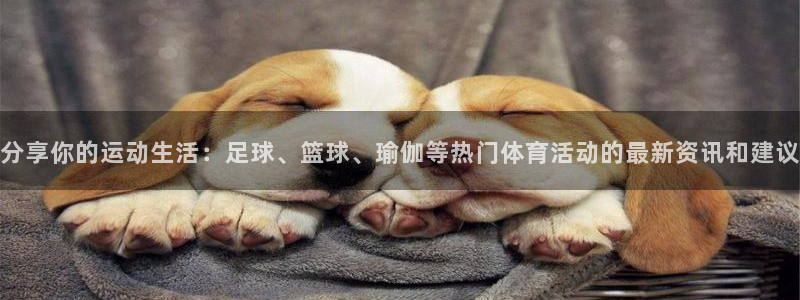 kok新版中欧体育：分享你的运动生活：足球、篮球、瑜伽等热门体育活动的最新资讯和建议