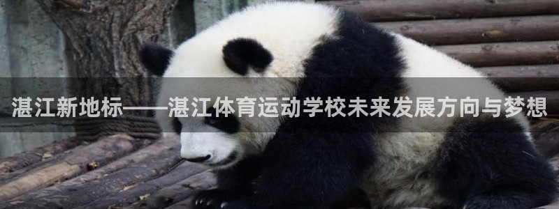中欧体育