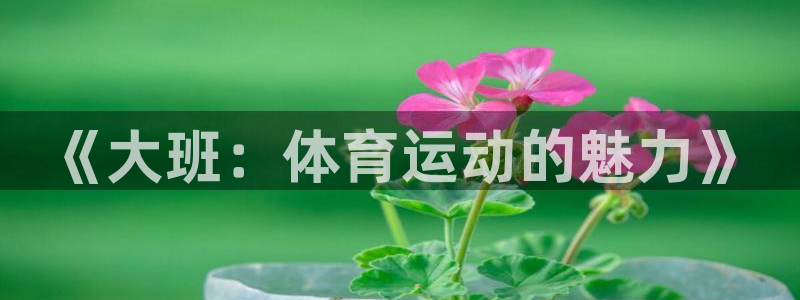kok中欧体育